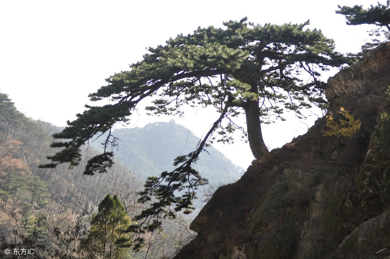 中国的六大名山能认出来就证明你去过