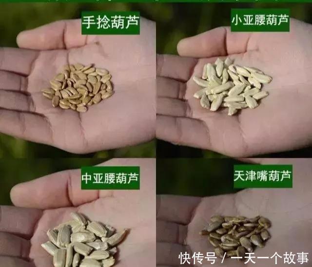  「椅子」大爷花10年“种椅子”，一把卖80000！这些文玩在家也能