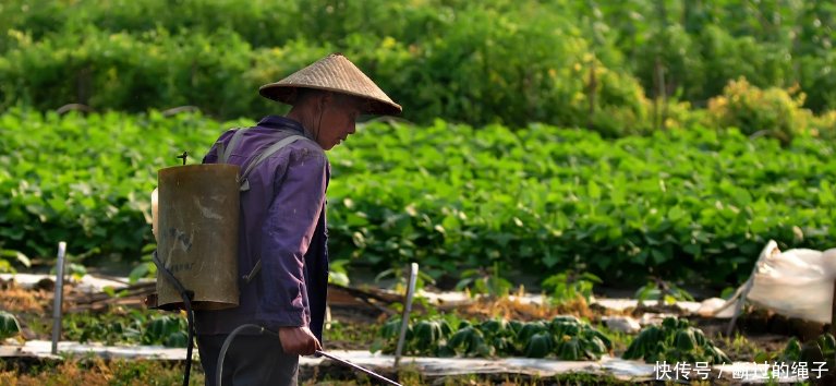 做过这10种农活的人至少50岁，90后恐怕连农活名称也说不全