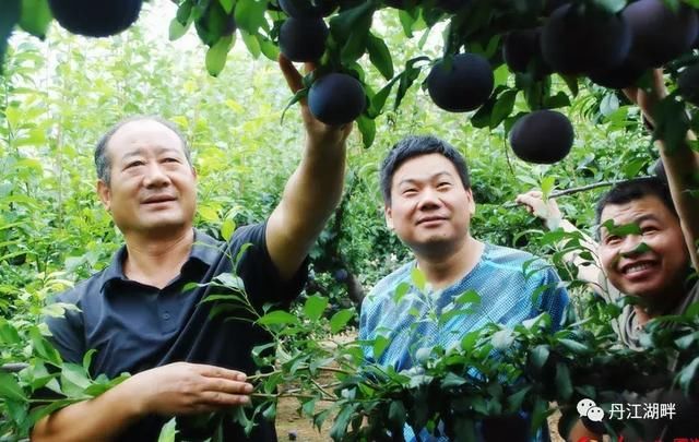 登录查看大图