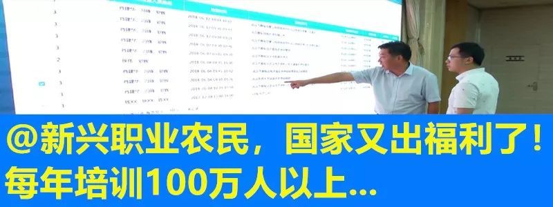 生长在泥巴里的“致富果”，亩产3000斤，效益是稻谷的几倍！