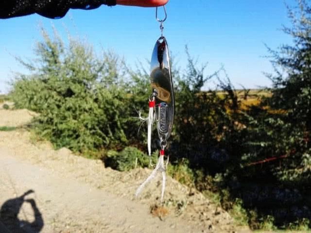  贪婪@新疆钓狗鱼，生性粗暴贪婪，一天可以吃掉和自己体重相当的