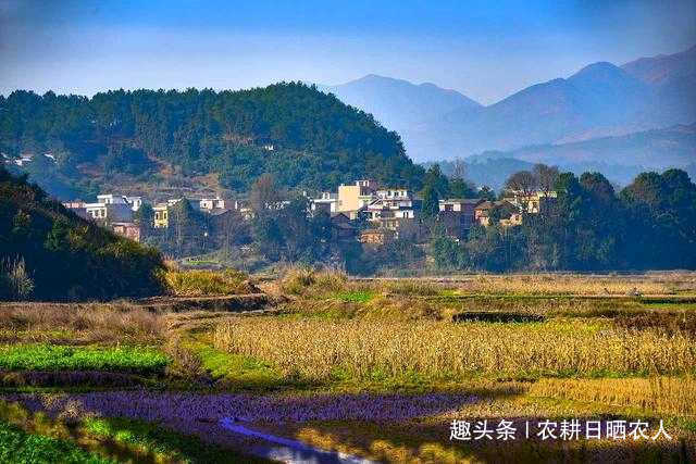 10年之后的农村，还会有穷人吗专家说了3句话，句句在理