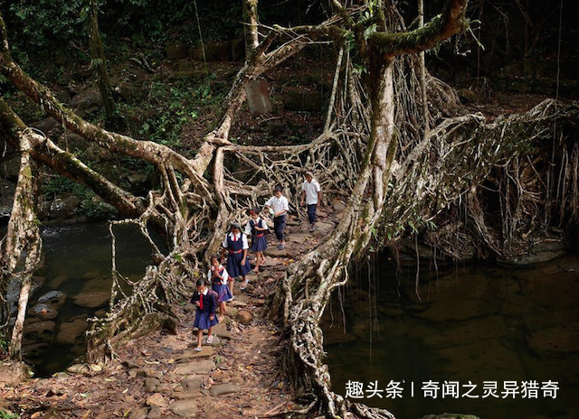 世界上最古怪的桥，至今已有500年历史，从不维修还越来越坚固