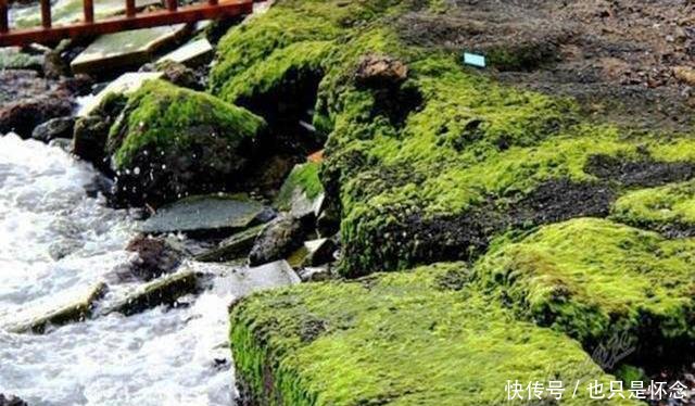 影响:钓鱼时,这几样“东西”不仅影响渔获,一不小心就会损失惨重