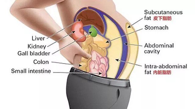 抓住夏天的尾巴，消灭你的小肚腩