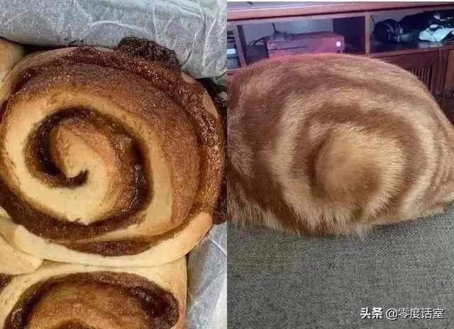  #身为#身为一枚吃货，馋起来看啥都像吃的！