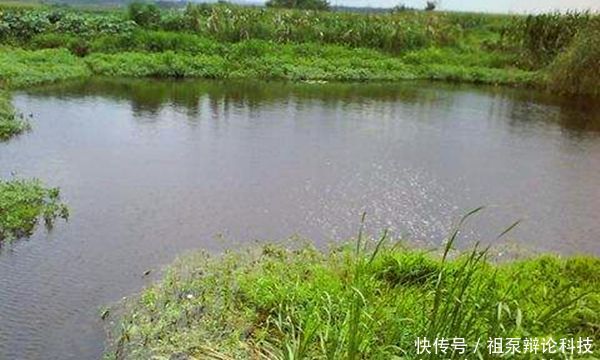 『钓点』晚春钓翘嘴鱼,注意天气和钓点的选择,狂拉翘嘴很过瘾!