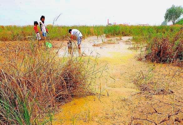 黄河水量创新高，钓友和农民却犯愁！不能钓鱼，也无法浇地
