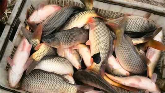 渤海会被黄河携带的泥沙填满吗？为什么会这样？