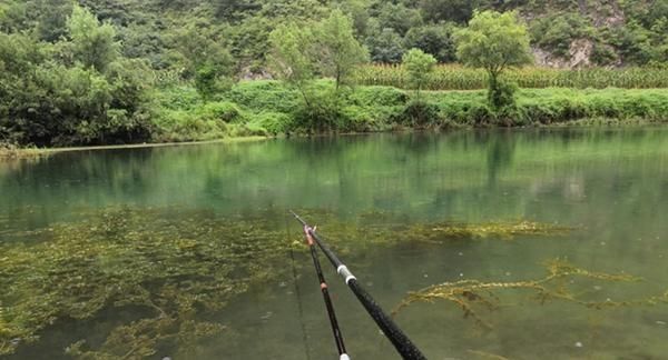  『技巧』4月发文：野钓中钓点选择技巧：从4个方向入手