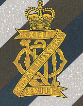 胸针迷戴胸针的戴安娜