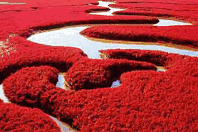 老外评出中国最美的35大美景,我只去过3个,看看你有几个没去过