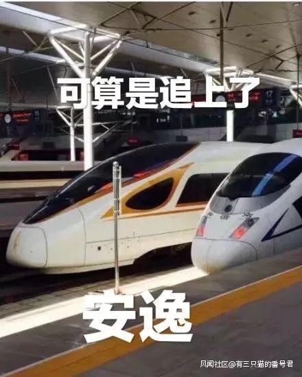 喂！110吗？有俩高铁在“飙车”？时速300公里那种！