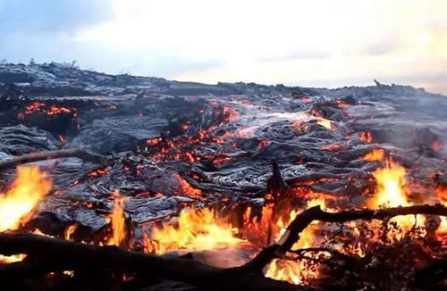 夏威夷活火山喷发 熔浆吞噬森林