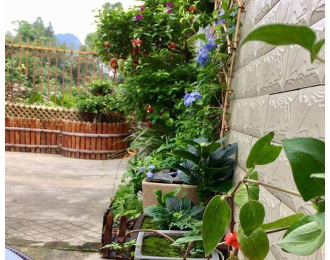 悠哉悠哉，雅致古朴的风格，每个养花人梦想的小院