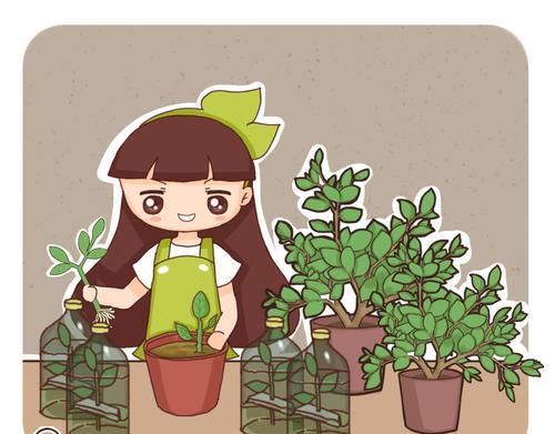  「花盆」家里空间不够，找点这些，种菜养花就能种出新境界！