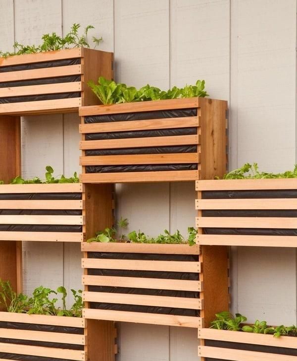  设计|城里人越来越流行在家种菜了！分享10种菜园设计，省钱还健