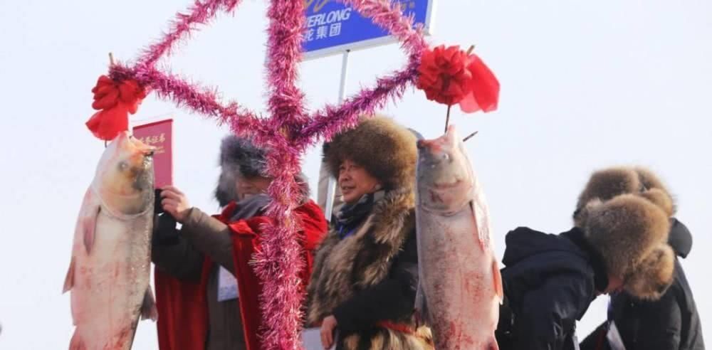  头鱼@“洗澡鱼”？查干湖售300万“天价头鱼”，年捕30万为何没