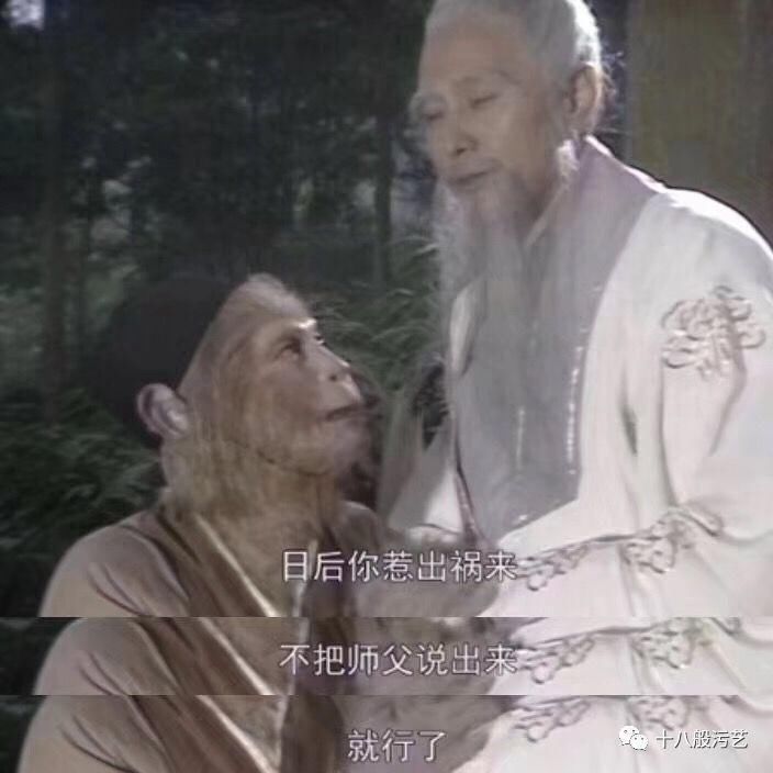 百万粉丝女网红遛狗不栓绳，还殴打8个月孕妇，真的好可怕!