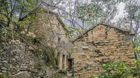 十多年无人可以走得出这个村庄,最后村子里老牛撞断柳树真相大白