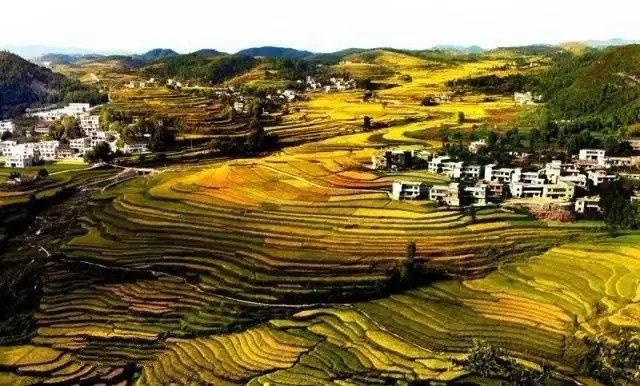 金秋贵州 这些田间地头要美哭了!