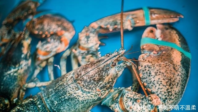 韩国旅行，探秘闻名全国却少被外国游客所知的市场，你想知道吗？