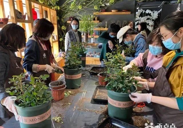  [关进]修剪、施肥、换盆……上了这堂园艺课，你也能把春色关进阳台里！