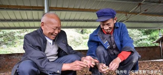 农民靠着扶贫好政策，在地里种植它，现年入十几万元