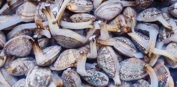 「厨师」蛤蜊好吃而且容易洗吗?厨师教你一招,方便快捷