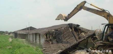 今年起，农村开启“禁养”模式，专家表示支持，农民的话很戳心！