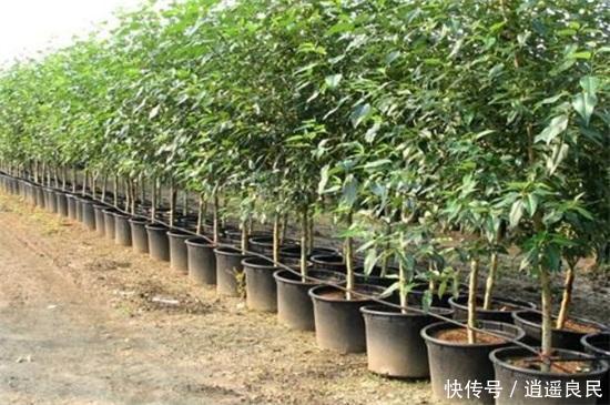  「市场」农村最缺什么市场，十种投资回报大的农村项目