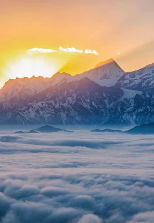 大熊猫国家公园 究竟长什么样？