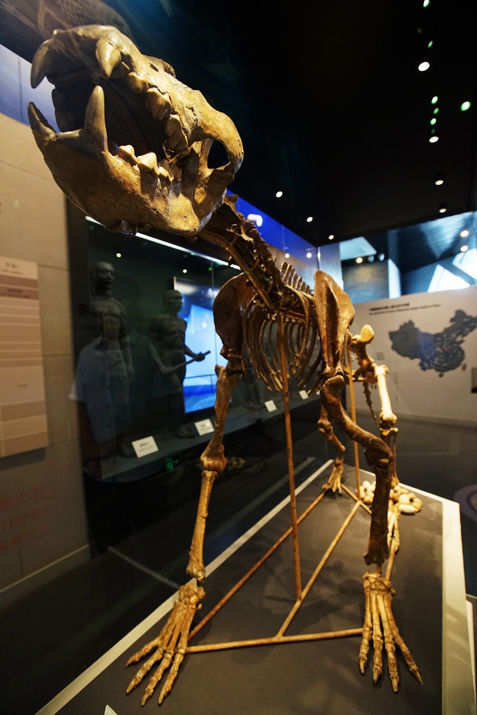 北京老年证如何办理