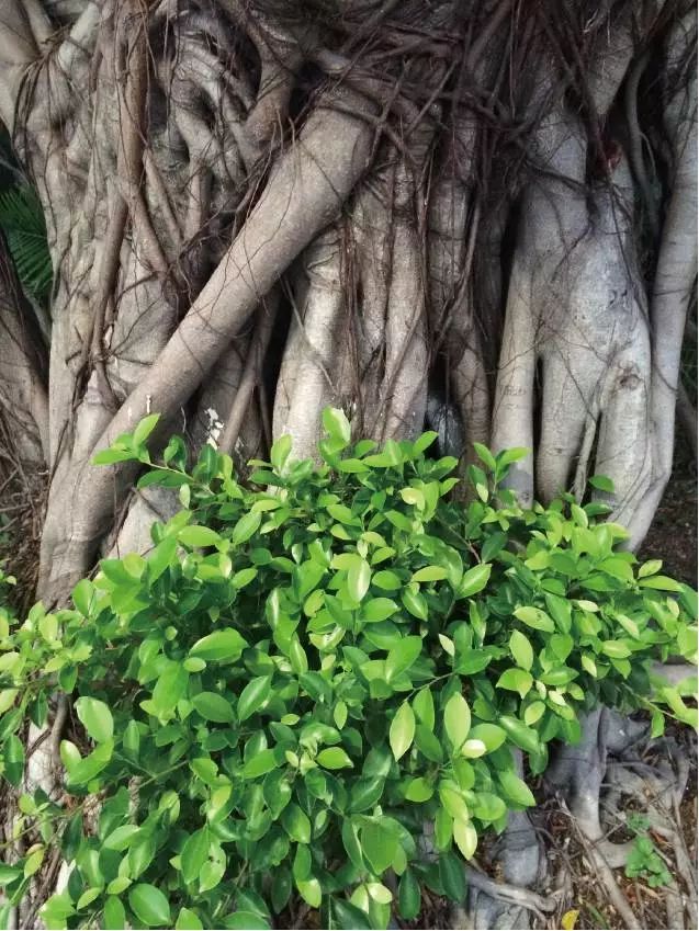 学会这几招,用手机摄影秒杀朋友圈