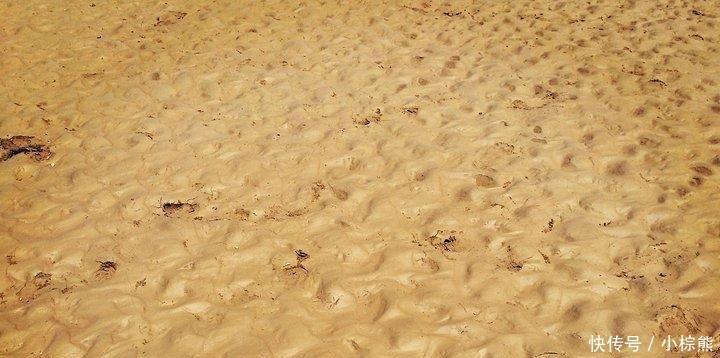 为什么不捞黄河的沙子来盖房子? 说出来你都想不到