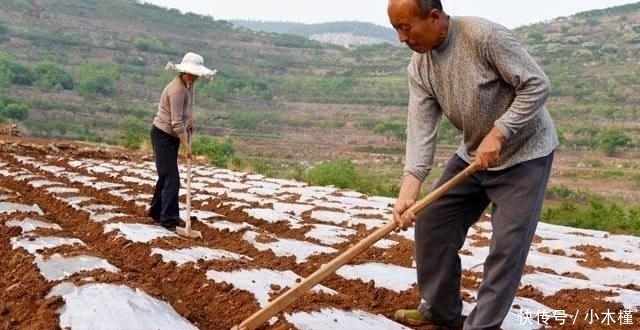  【农村】10年后，农村哪些东西最贵？不是房子和车，而是这3样东