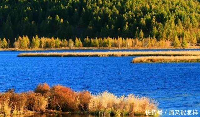 有一种美，叫阿尔山的秋