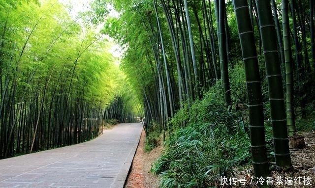 这个景区在河南，因景色美人来了不想走，瀑布群花海翠竹要素太多