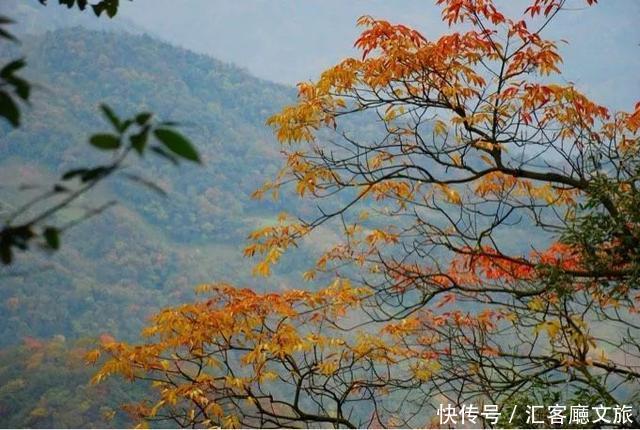 10处绝美秋季自驾打卡地,开车去看最美的风景