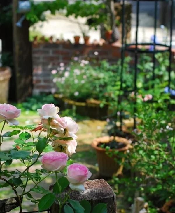  【美滋滋】不羡慕城里大露台，老家盖个房，还带个大院子，生活