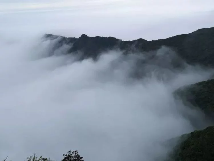 国内“最危险”寺庙,处在悬崖边上,恐高的人不敢去