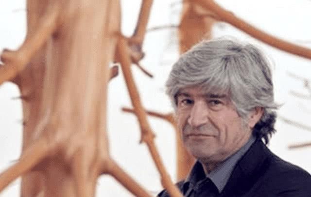 世界最“孤独”的手，握着一棵树50年从未松手，什么原因?