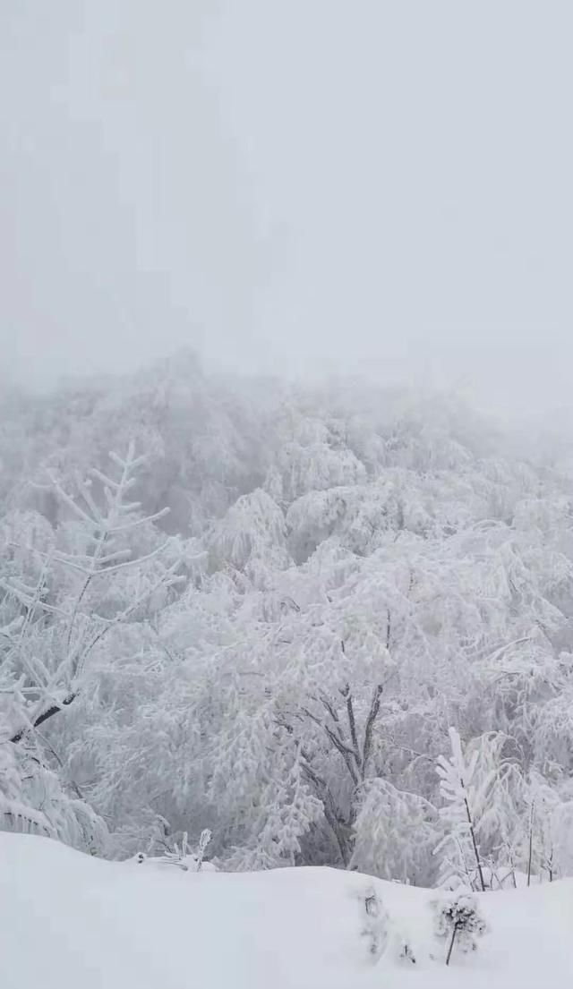 汉中汉江源雪景惹人醉，冬季赏雪不思归