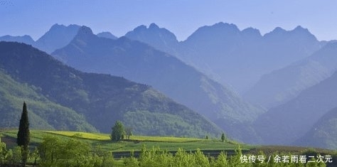  【上榜】农村不能乱碰的4种生物, 水蛭上榜, 碰了很可能会后悔