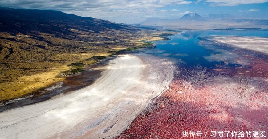 地球上真实存在的“冥河”: 能石化小动物, 湖水鲜红仿若血池!