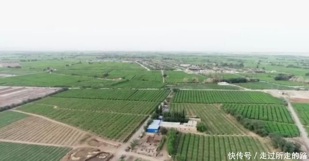  李健中：靠“赌水果”白手起家！他把水果生意做到了亿元的境界