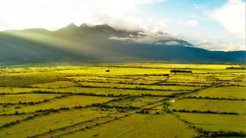 印度小伙制造手推式耕地机,一天耕地10亩,成本只需要200元