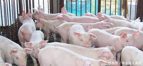 农民好消息！这4项补贴，将直接发到卡上，1分钱都不会少！