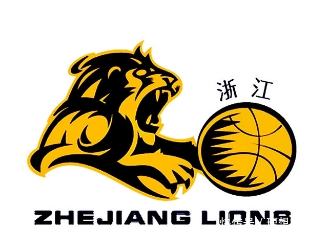 浙江广厦篮球队做了啥